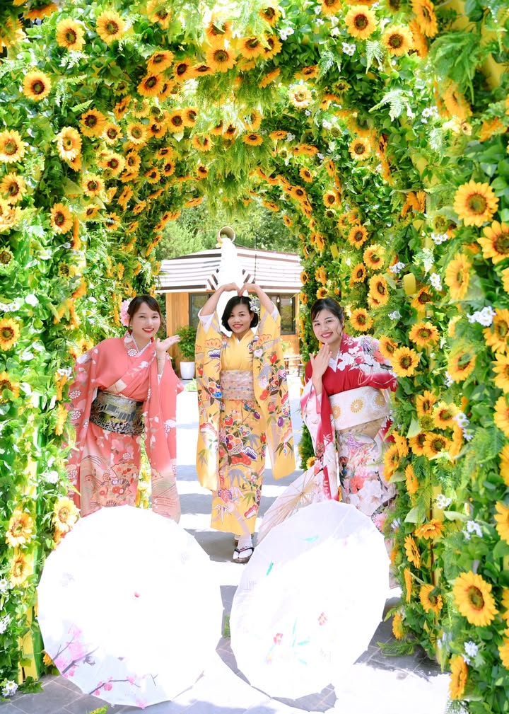 Đất sổ đỏ 71,4m² Khu TĐC Phú Xuân Thái Bình - Giá chỉ 2,2 tỷ!