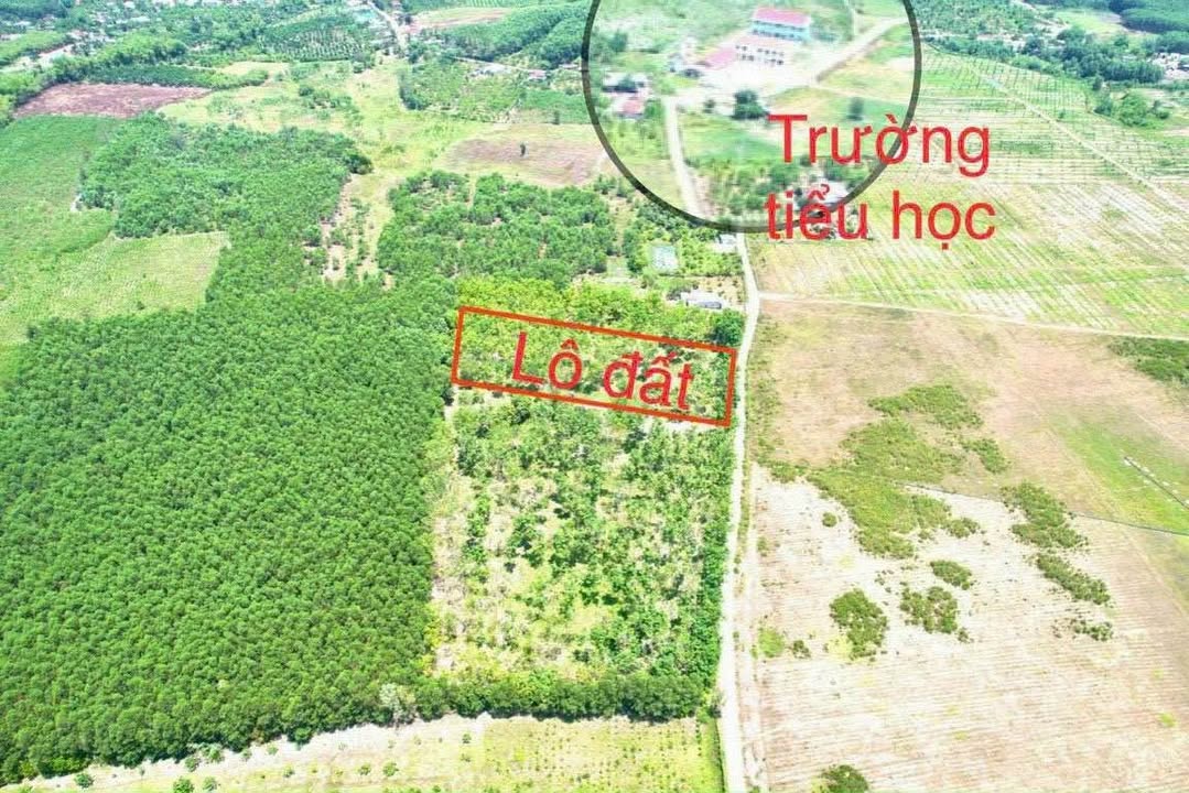 Đất thổ cư Khánh Đông Khánh Vĩnh 1400m² giá 550 triệu - Cơ hội đầu tư tuyệt vời!