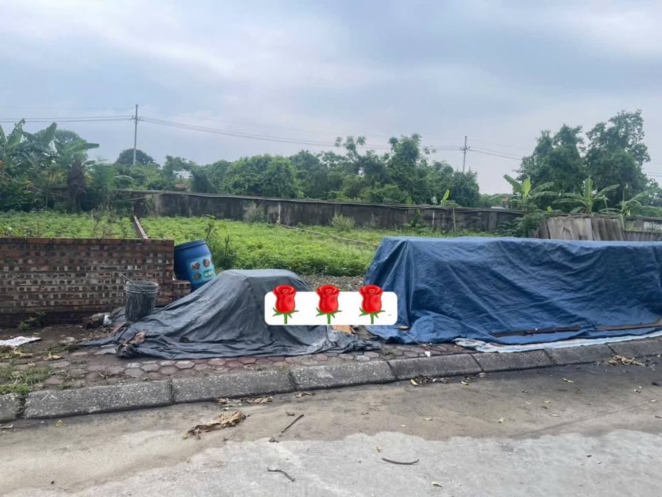 Đất phân lô Mai Hiên, Mai Lâm 130m² giá thỏa thuận - Vị trí đẹp, tiềm năng tăng giá cao!