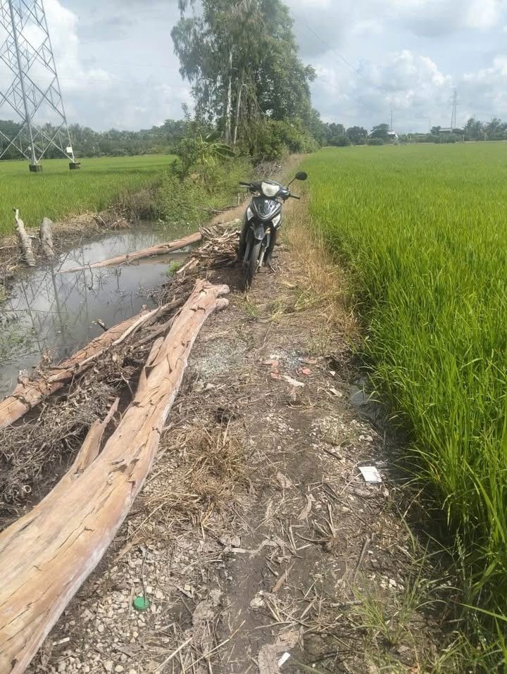 Đất vườn sầu riêng 10,8ha tại xã Mỹ Đức, Châu Phú - Giá 630 triệu, thương lượng chính chủ!