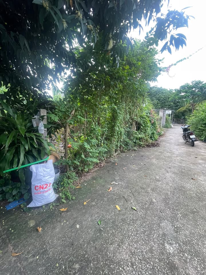 Đất nền An Ngãi, Long Điền 759m² giá 2.5 tỷ - Đường xe hơi vào thoải mái!