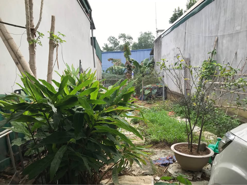 Đất ở đô thị tại phường Mường Thanh, 117.6m² giá 820 triệu - Vị trí đẹp, thuận tiện