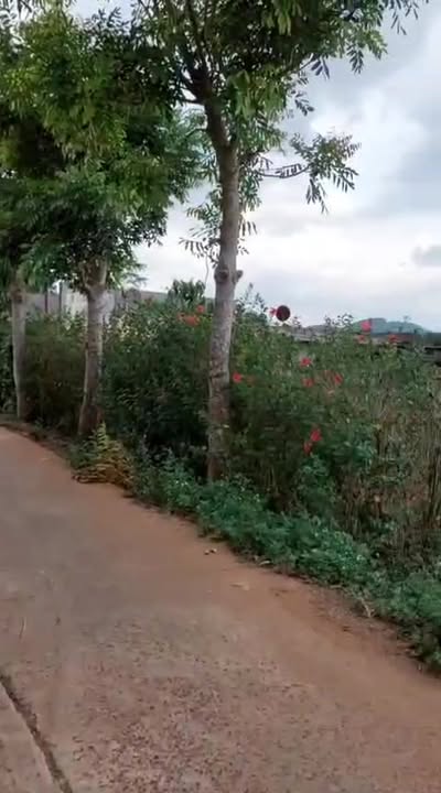 Đất đẹp Tân Hội 220m² giá chỉ 1 tỷ - Cơ hội đầu tư sinh lời!