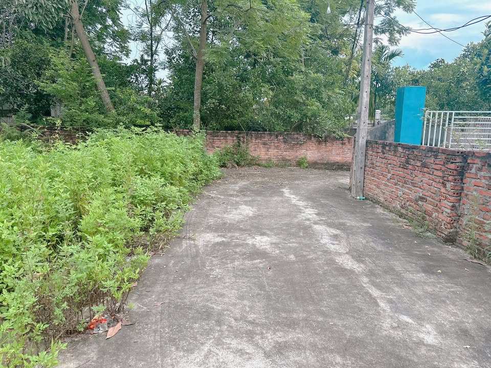 Đất thổ cư khu phố 5, Thanh Đình, Việt Trì 85m² - Gần trường mầm non, giá tốt!