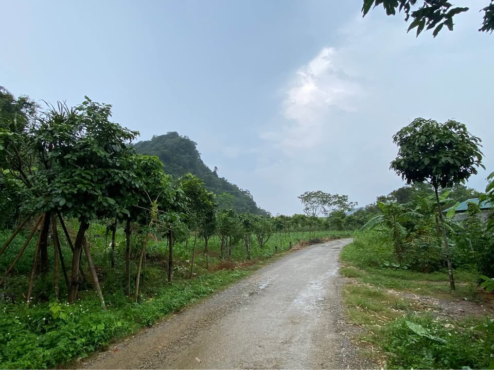 Đất nền 500m² tại Tú Sơn, Hòa Bình - Sổ đỏ chính chủ, giá thỏa thuận!