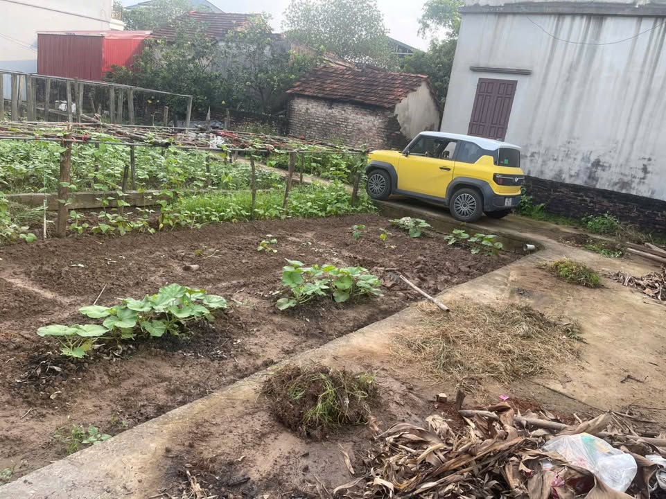 Đất lô góc Tự Nhiên, Thường Tín 54.7m² giá 2 tỷ - Mảnh đất tiềm năng không thể bỏ qua!