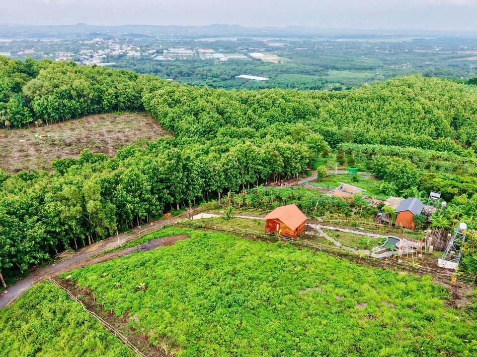 Đất vườn 1200m² tại Xuân Lộc, Đồng Nai chỉ 1.02 tỷ - Thiên đường nghỉ dưỡng lý tưởng!