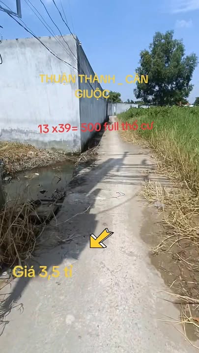 Đất thổ cư 500m² chính chủ ở Cần Giuộc - Kế bên Trường Tiểu Học Thuận Thành, giá 3.5 tỷ!