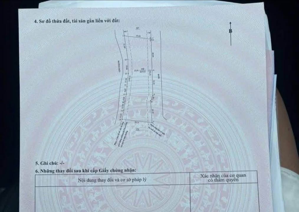 Đất Long Nguyên Bến Cát 3900m² giá 2 tỷ - Chính chủ bán gấp!