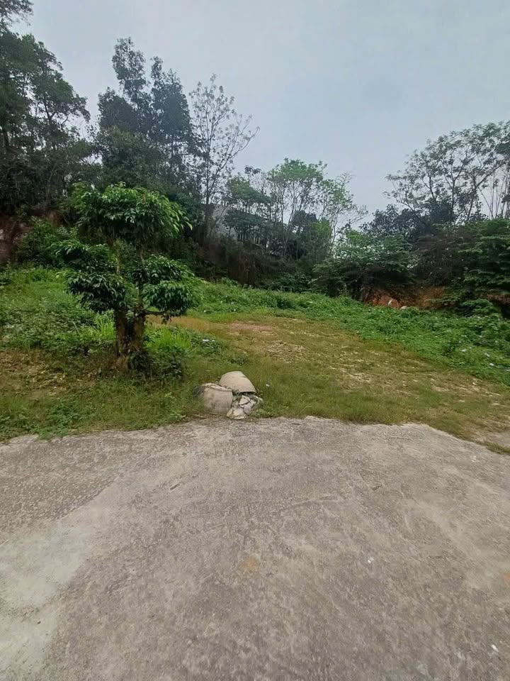 Lô đất thổ cư Hòa Long 128m² giá 3 tỷ - Đường ô tô vào thoải mái!