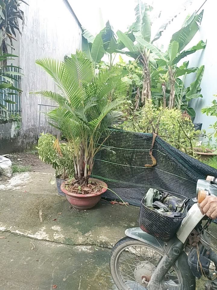 Đất nền Trảng Dài, Biên Hòa 75m² giá 620 triệu - Sổ đỏ chính chủ, hẻm thông dân cư kín!