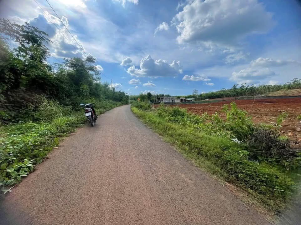 Lô đất mặt tiền đường nhựa thông Bù Đốp 1000m² giá chỉ 210 triệu - Cơ hội đầu tư không thể bỏ qua!