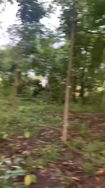 Đất nền ấp 15, xã Thiện Hưng 10.080m² giá 420 triệu - Sổ đỏ chính chủ!