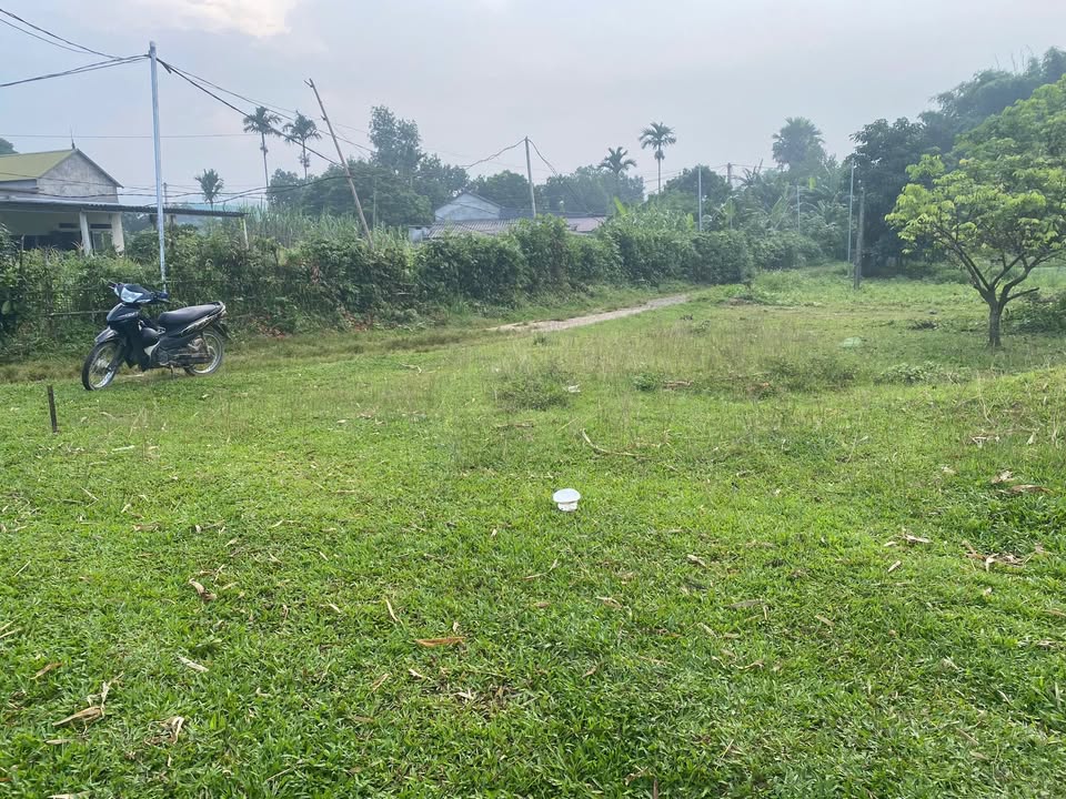 Lô đất 1000m² Kim Bôi Hòa Bình - Sổ đỏ chính chủ, giá thỏa thuận!