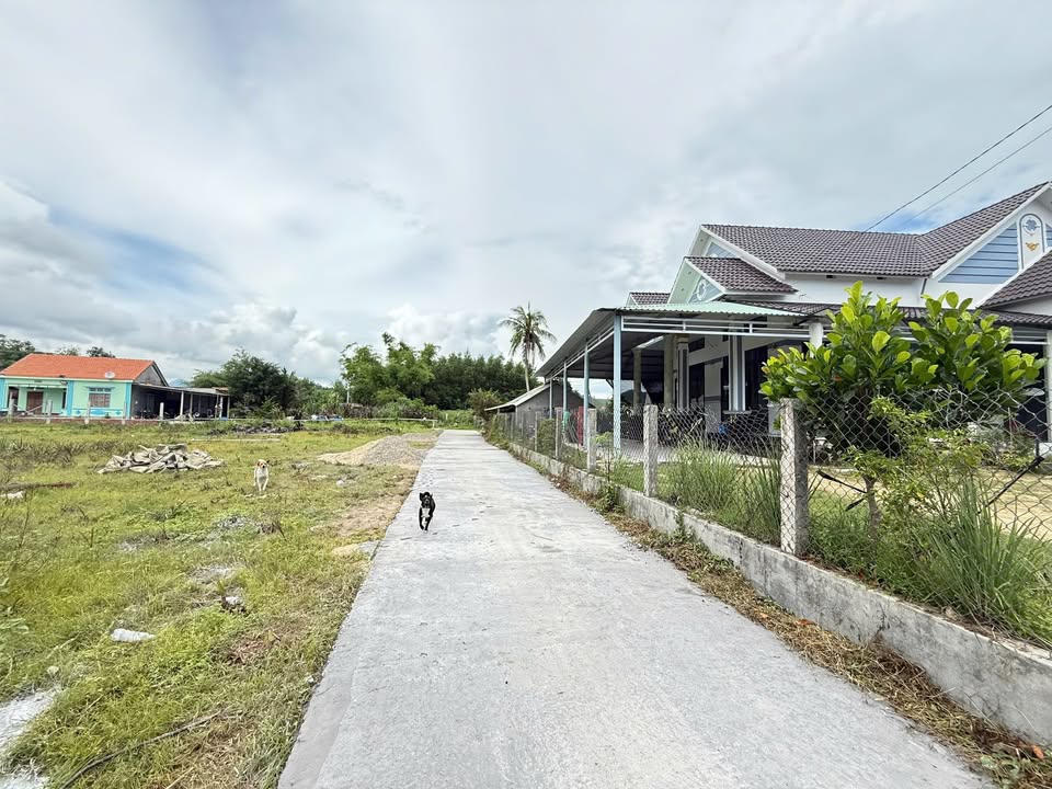 Đất thổ cư Phường Mỹ Tài, Quận Phù Mỹ 110m² giá 165 triệu - Cơ hội đầu tư hiếm có!