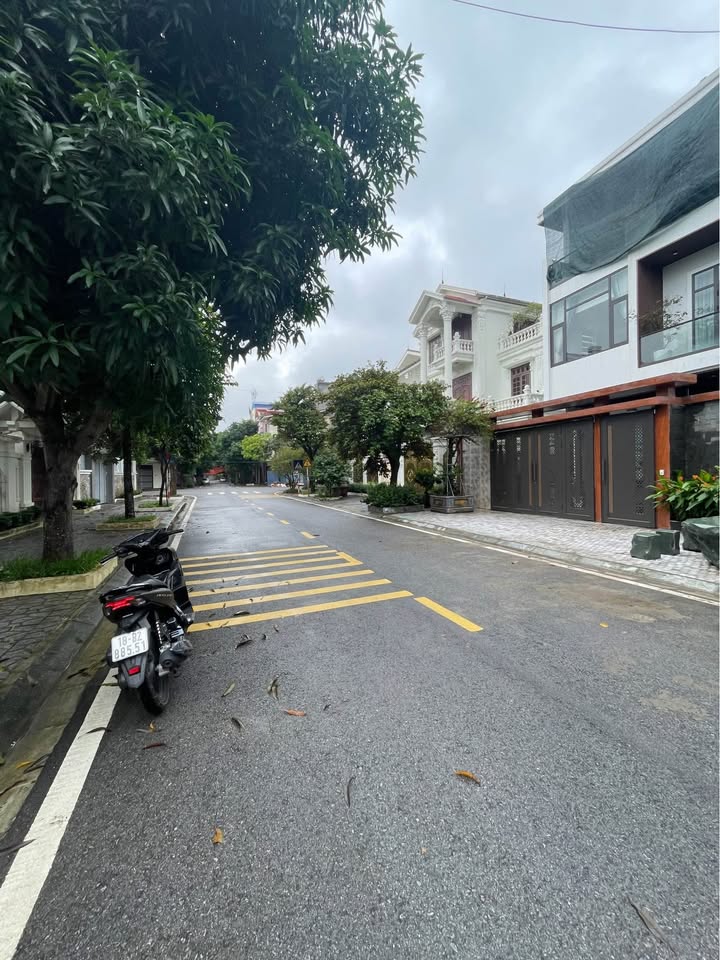 Lô đất biệt thự mặt đường Phạm Văn Nghị Nam Định 260m² giá 14.5 tỷ - Cơ hội vàng đầu tư!
