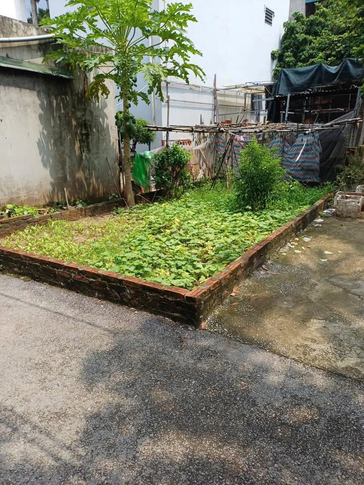 Đất lô góc 32m² phường Yên Nghĩa, Hà Đông - Giá nhỉnh 3 tỷ, sổ đỏ chính chủ!