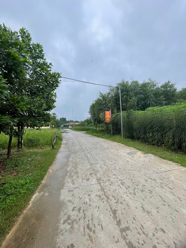 Đất đấu giá K13 Hoàng Cương 100m² giá 600 triệu - Đầu tư sinh lời ngay!