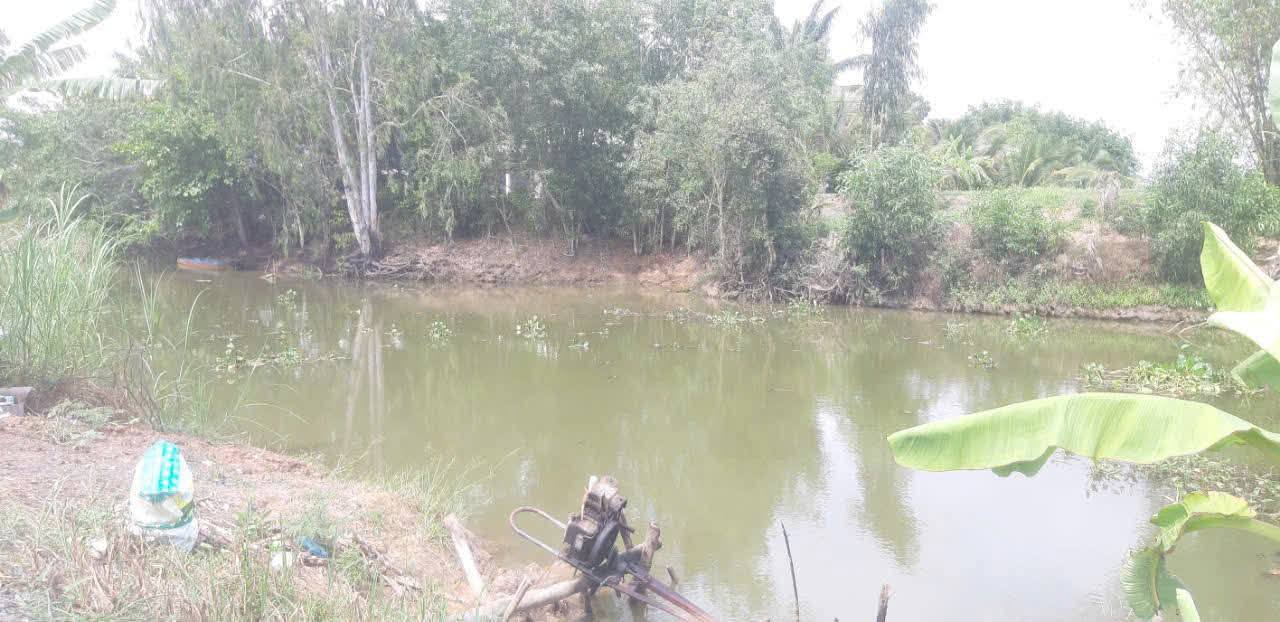 Đất nền 86400m² Bình Phong Thạnh Mộc Hóa - Cơ hội đầu tư hấp dẫn!