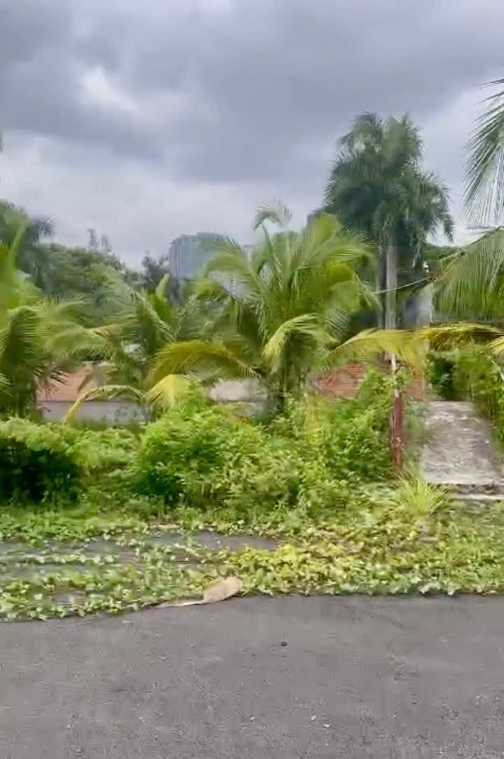 Đất trống cho thuê Thảo Điền, Thủ Đức 4000m² - Vị trí đắc địa, view sông thoáng mát!