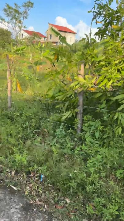 Đất thổ cư Thạch Bình, 158m² giá 1.49 tỷ - Cơ hội đầu tư hấp dẫn!