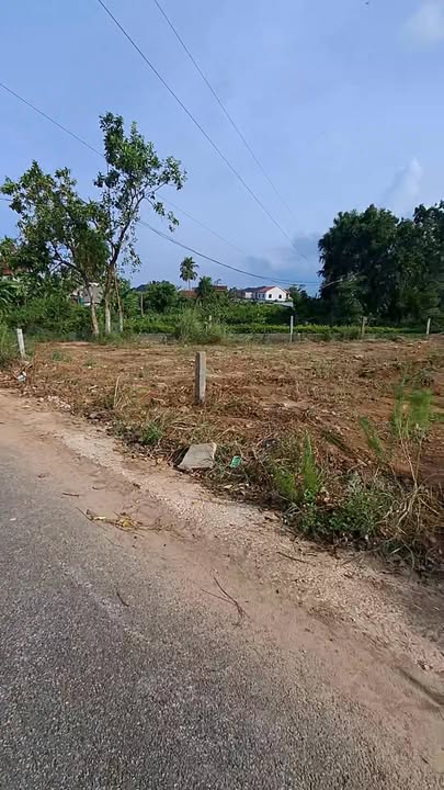 Đất Cẩm Vịnh 120m² giá 1 tỷ - Đường rộng 15m, gần trung tâm thương mại!