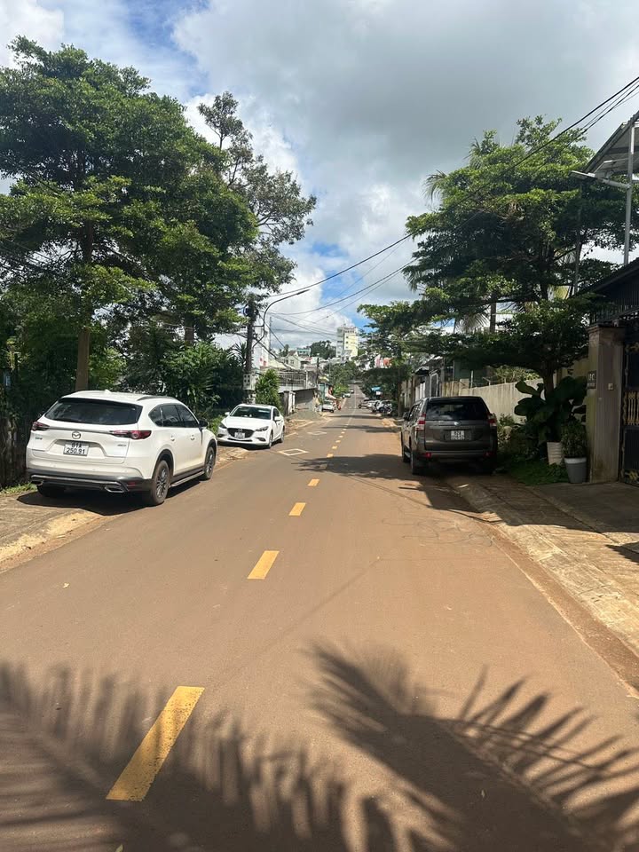 Lô đất mặt tiền Hoàng Văn Thái, Plieku, 117.5m² giá chỉ 2.65 tỷ - Cơ hội đầu tư hiếm có!