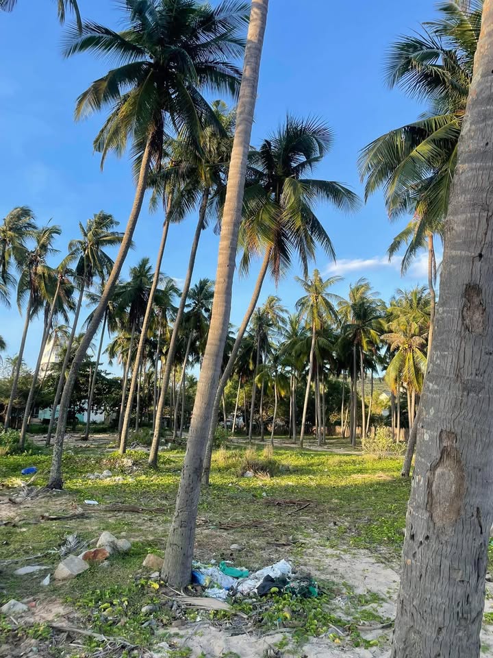 Đất nền Mũi Né 2600m² giá chỉ 22.1 tỷ - Đầu tư sinh lời lý tưởng!