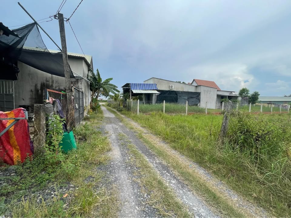 Đất thổ cư Hòa Khánh Nam 135m² giá 770 triệu - Đầu tư sinh lời ngay!