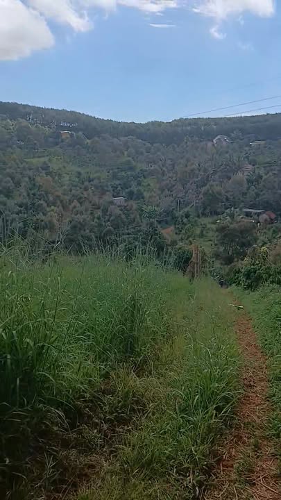 Đất nền 1ha2 tại Đắk Mil giá 1.7 tỷ - Cơ hội đầu tư hấp dẫn!