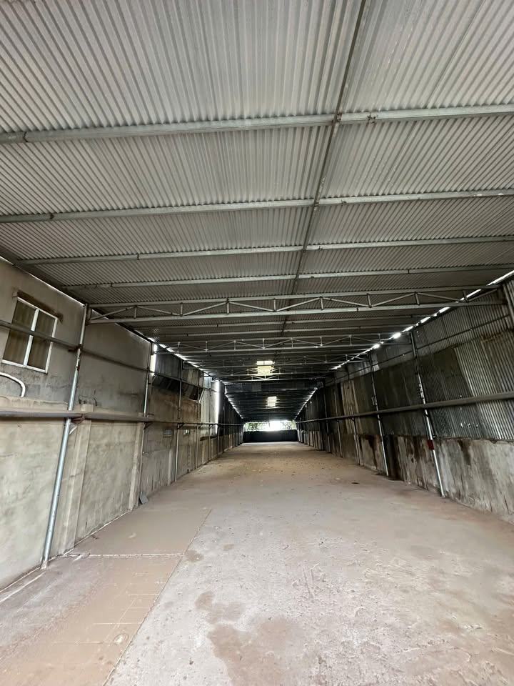 Cho thuê xưởng 2000m² tại Thiện Tân, Vĩnh Cửu - Giá 60 triệu/tháng, thuận tiện lưu thông!