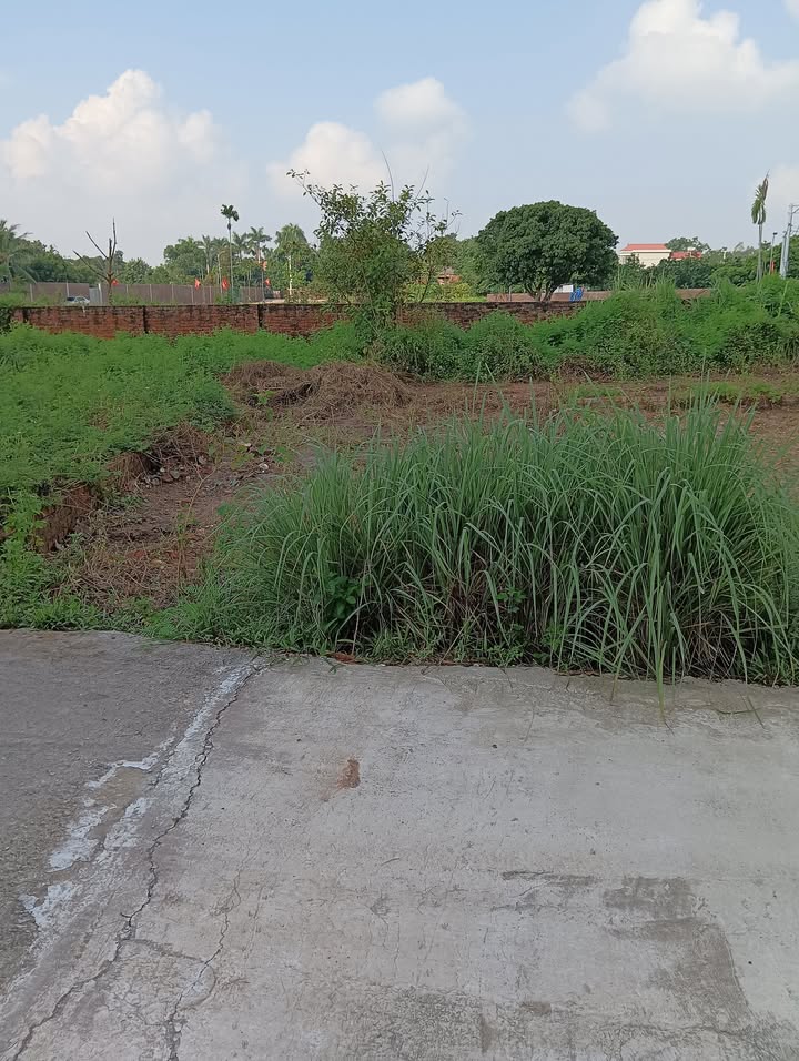 Đất nền Minh Phú, Sóc Sơn 91m² giá 1.5 tỷ - Sổ đỏ chính chủ, ô tô vào tận nơi!