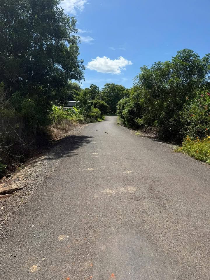 Đất nền Hòa Hội, Xuyên Mộc 5600m² giá 2.6 tỷ - Cơ hội đầu tư hấp dẫn!