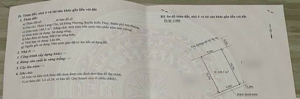 Đất đấu giá Đông Phương, Kiến Thụy 148m² giá 3 tỷ - Vị trí đắc địa gần khu đô thị Hoàng Huy!