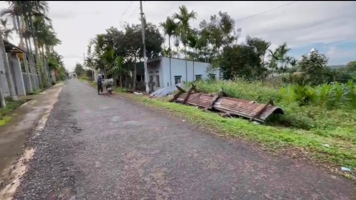 Bán gấp mặt tiền đường Hòa Thuận Đạt Lý, phường Tân An, 300m² - Giá chỉ 1.55 tỷ!