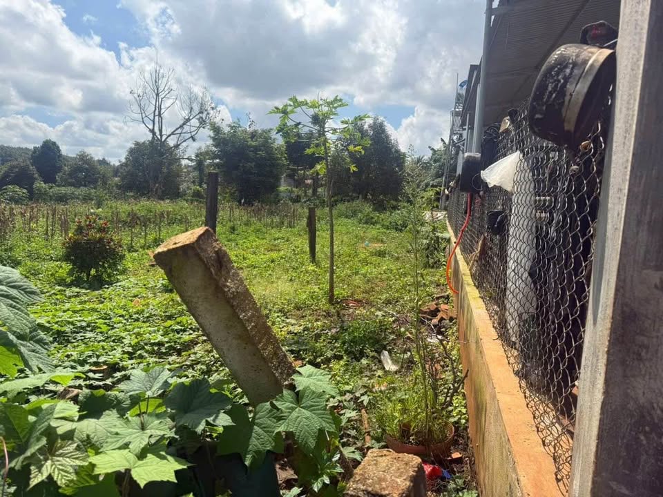 Đất nền Him Lam, Buôn Ma Thuột 125m² giá 1.19 tỷ - Đầu tư sinh lời ngay!