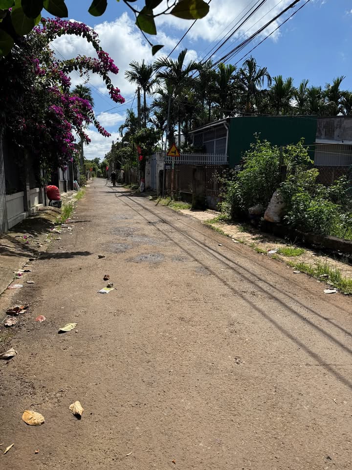 Đất thổ cư Tân Lập 109m² giá 1.25 tỷ - Siêu rẻ, nhanh tay chốt ngay!