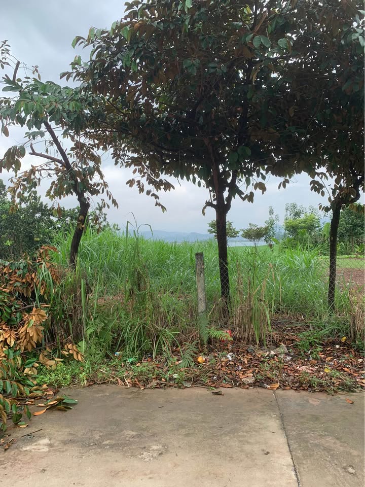 Đất Bảo Yên, Thanh Thủy, Phú Thọ 223,2m² - Sổ đỏ chính chủ, giá thỏa thuận!