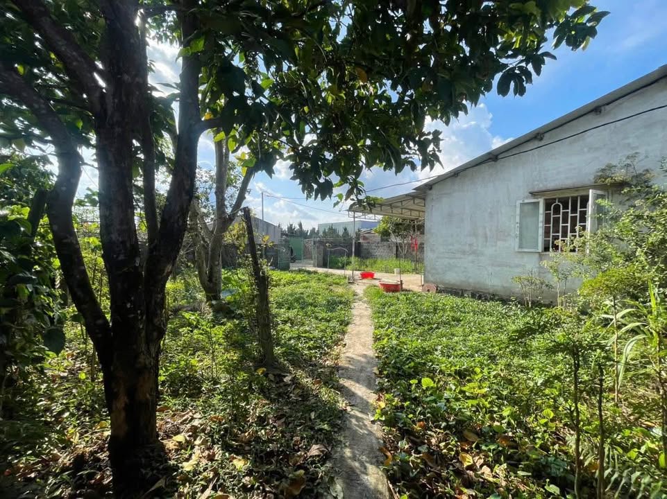 Đất nền Bảo Lộc 700m² giá 4.7 tỷ - Sổ đỏ chính chủ, mặt tiền rộng