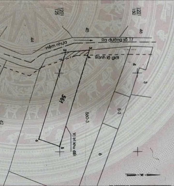 Đất nền Linh Trung Thủ Đức 214m² giá 13 tỷ - Hẻm nhựa xe tải, vị trí vàng!