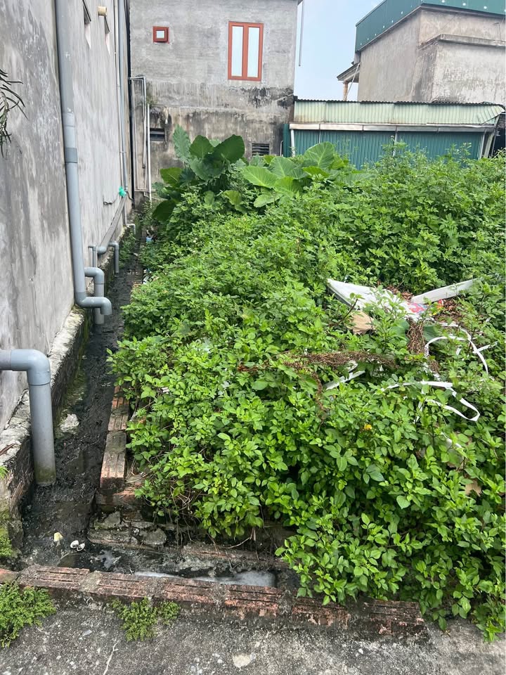 Đất thổ cư 69m² tại Thôn Chùa, Văn Lâm, Hưng Yên - Đầu tư sinh lời lý tưởng!