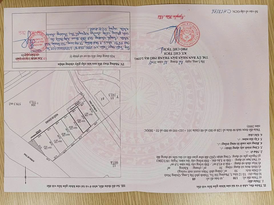 Đất nền ngõ 45 Vũ Văn Hiếu, Hạ Long 50m² - Vị trí đắc địa, giá tốt!