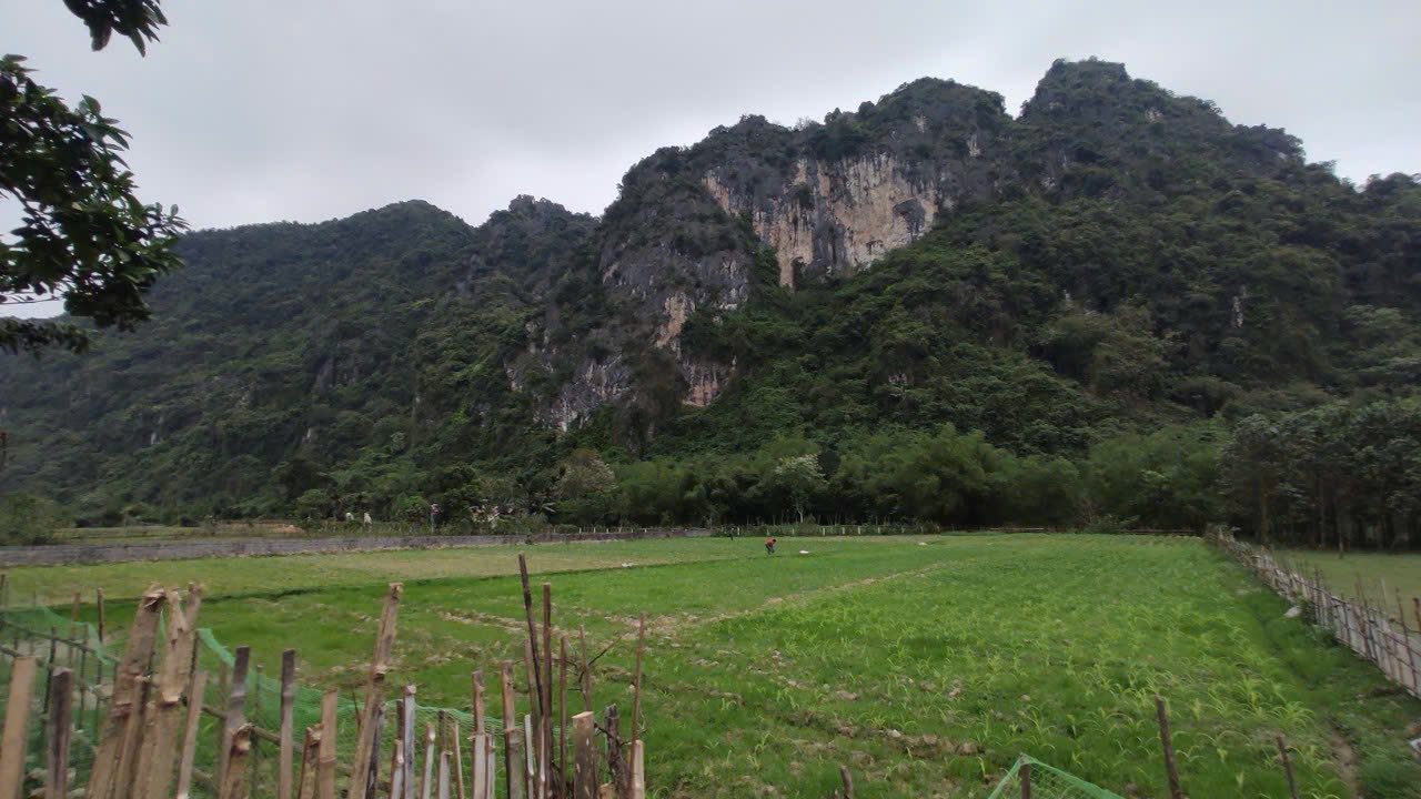 Đất nền Sào Báy Kim Bôi 4000m² giá chỉ 4 tỷ - Tiềm năng sinh lời cao!