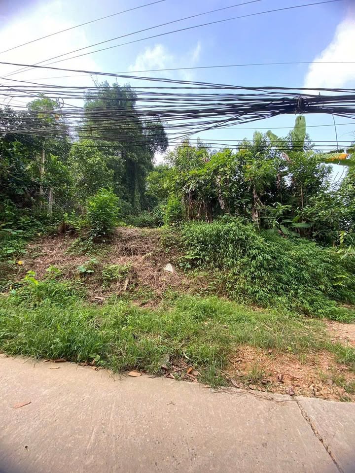 Đất nền Yên Bái 254m² giá 1.2 tỷ - Pháp lý rõ ràng, ô tô vào tận nơi!