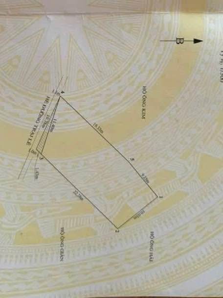 Bán lô đất mặt đường Trại Lẻ, Lê Chân, Hải Phòng 265m² - Đầu tư sinh lời ngay!