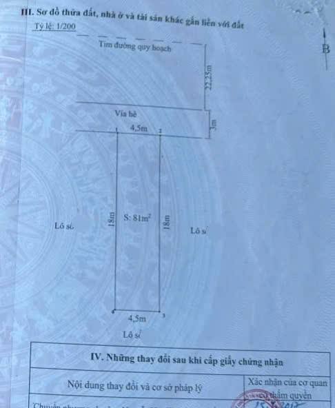 Đất tái định cư đường Bùi Viện 81m² giá 5.67 tỷ - Vị trí đắc địa, kinh doanh thuận lợi!