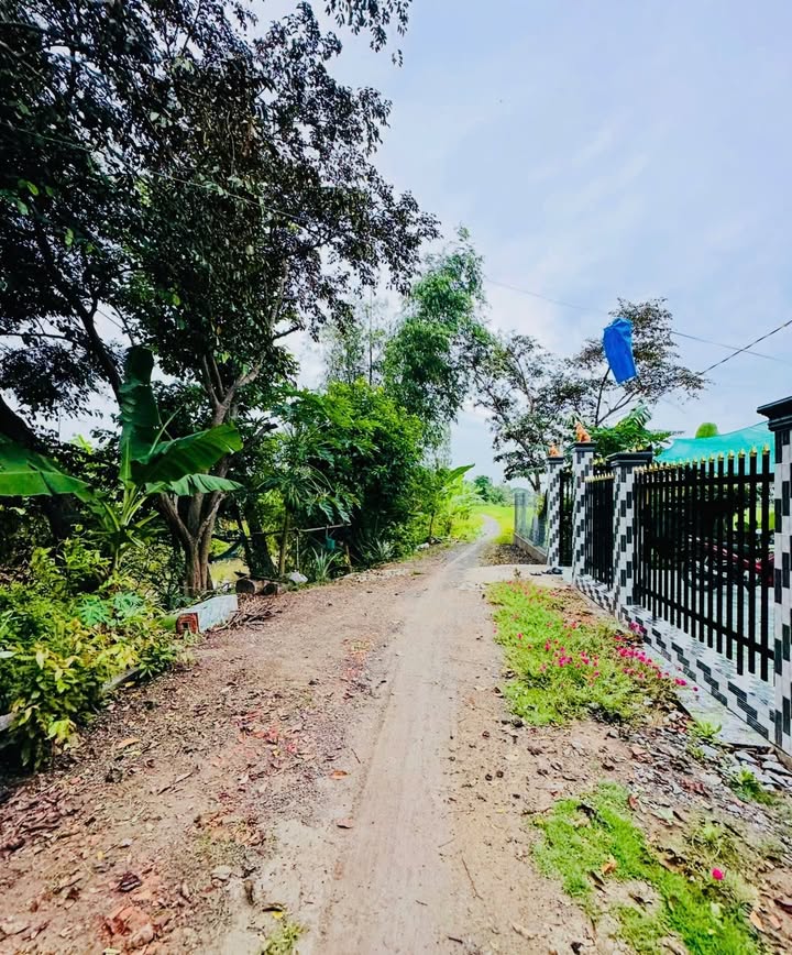 Đất nền Phú Hòa Thoại Sơn 918m² giá 300 triệu - Cơ hội đầu tư hấp dẫn!