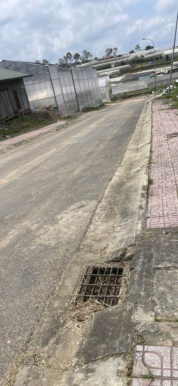 Đất nền 100m² đường Ngô Hoàng, Đà Lạt giá chỉ 3.8 tỷ - Pháp lý rõ ràng!