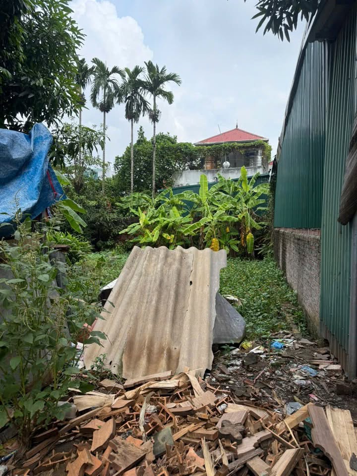 Đất nền Sơn Đồng, Hoài Đức 97m² giá 6.255 tỷ - Vị trí đẹp, giao thông thuận lợi!