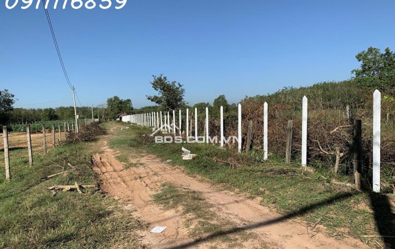 Đất mặt tiền Nguyễn Thị Rành, Củ Chi 1.8ha giá 79 tỷ - Tiềm năng phát triển vượt trội!